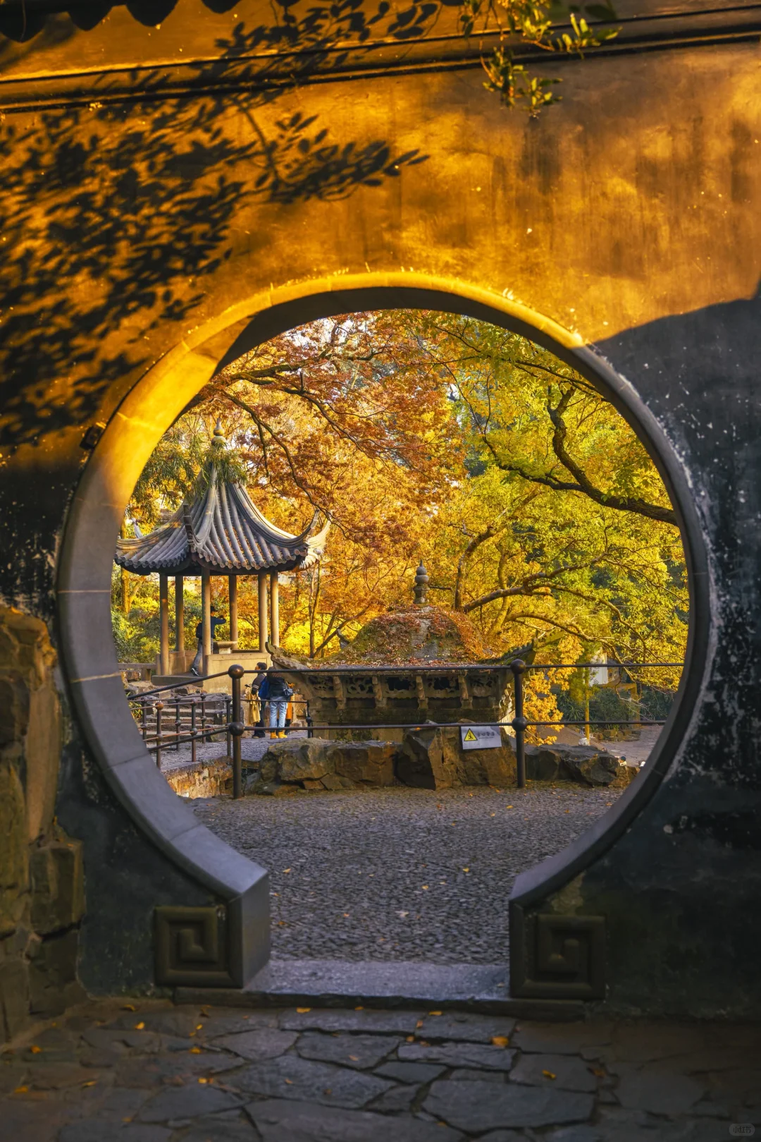 接下来的苏州，堪称秋日旅行天花板🍁