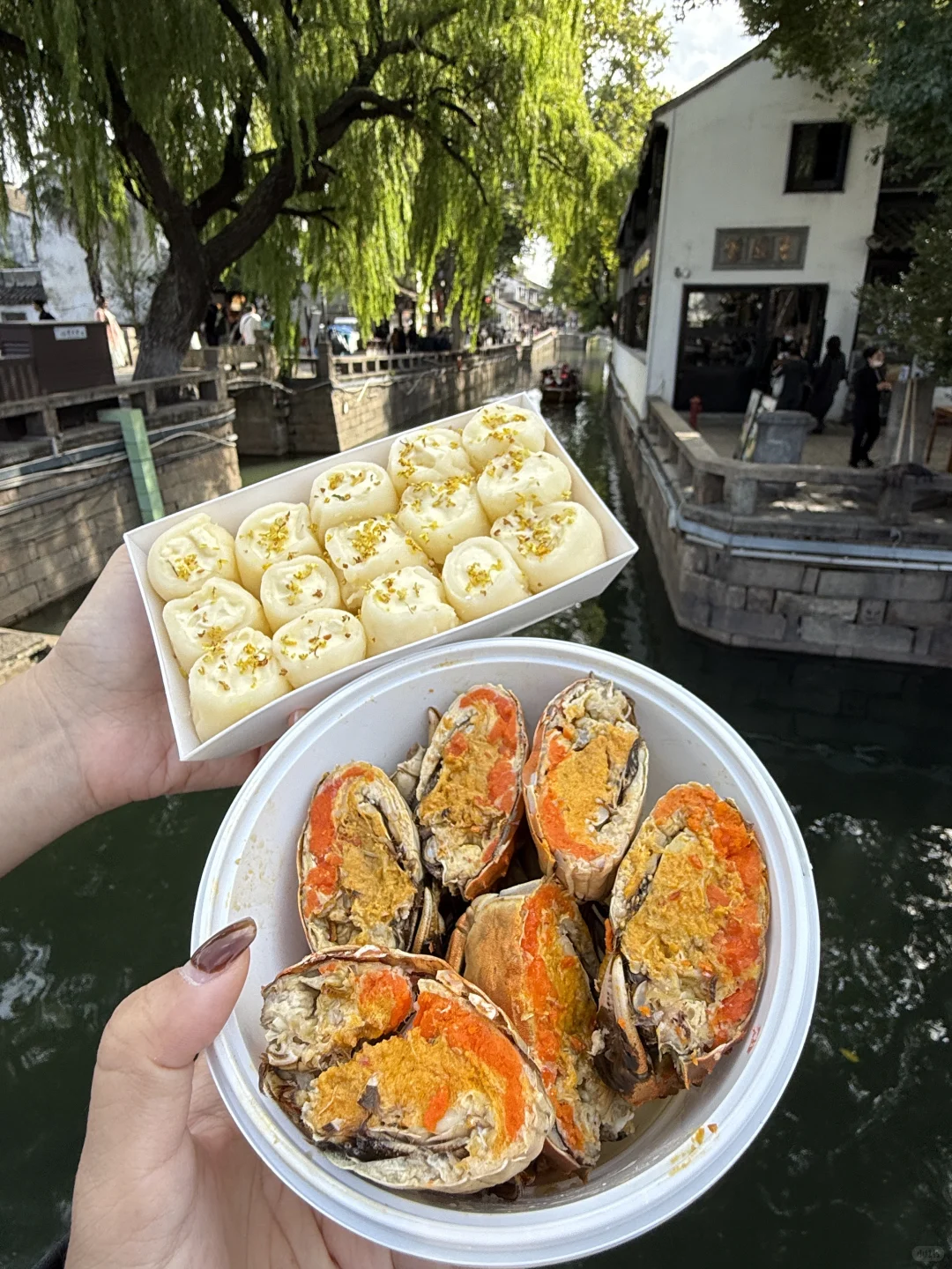 11.13苏州平江路实况！！！真的太美了！！！