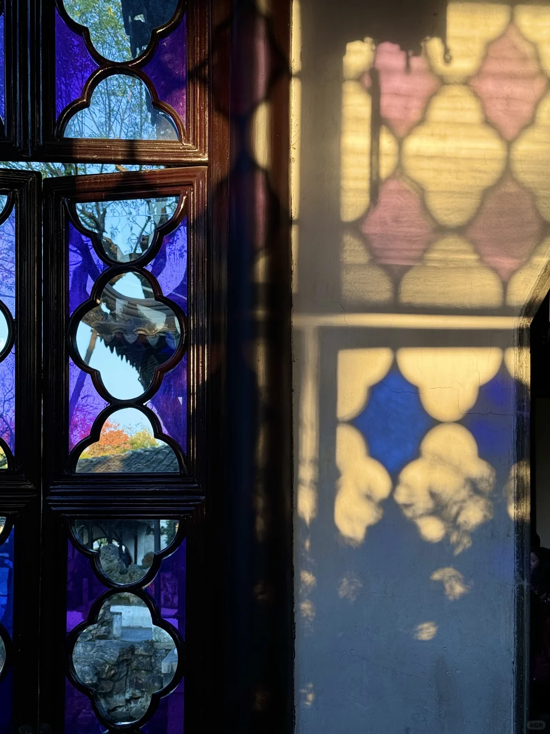 11.13实况live！！！秋天的拙政园！！美到封神…