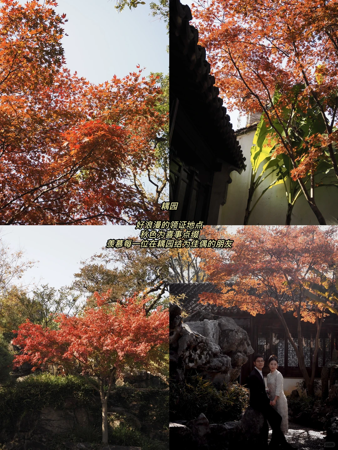 听说你准备要去苏州赏秋，提前帮你探探路