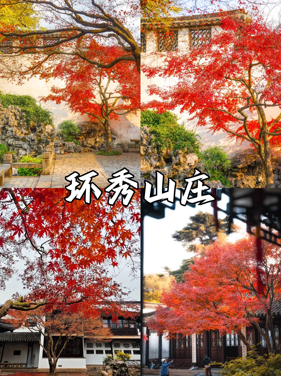 苏州限定❗苏州赏秋必打卡地来啦🔔快收藏✅