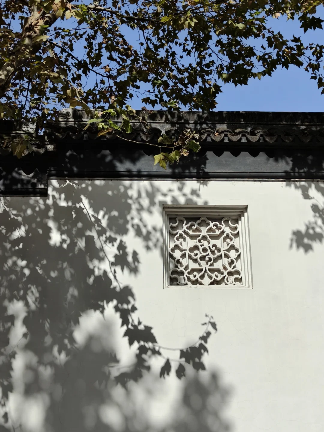 苏州园林｜拙政园