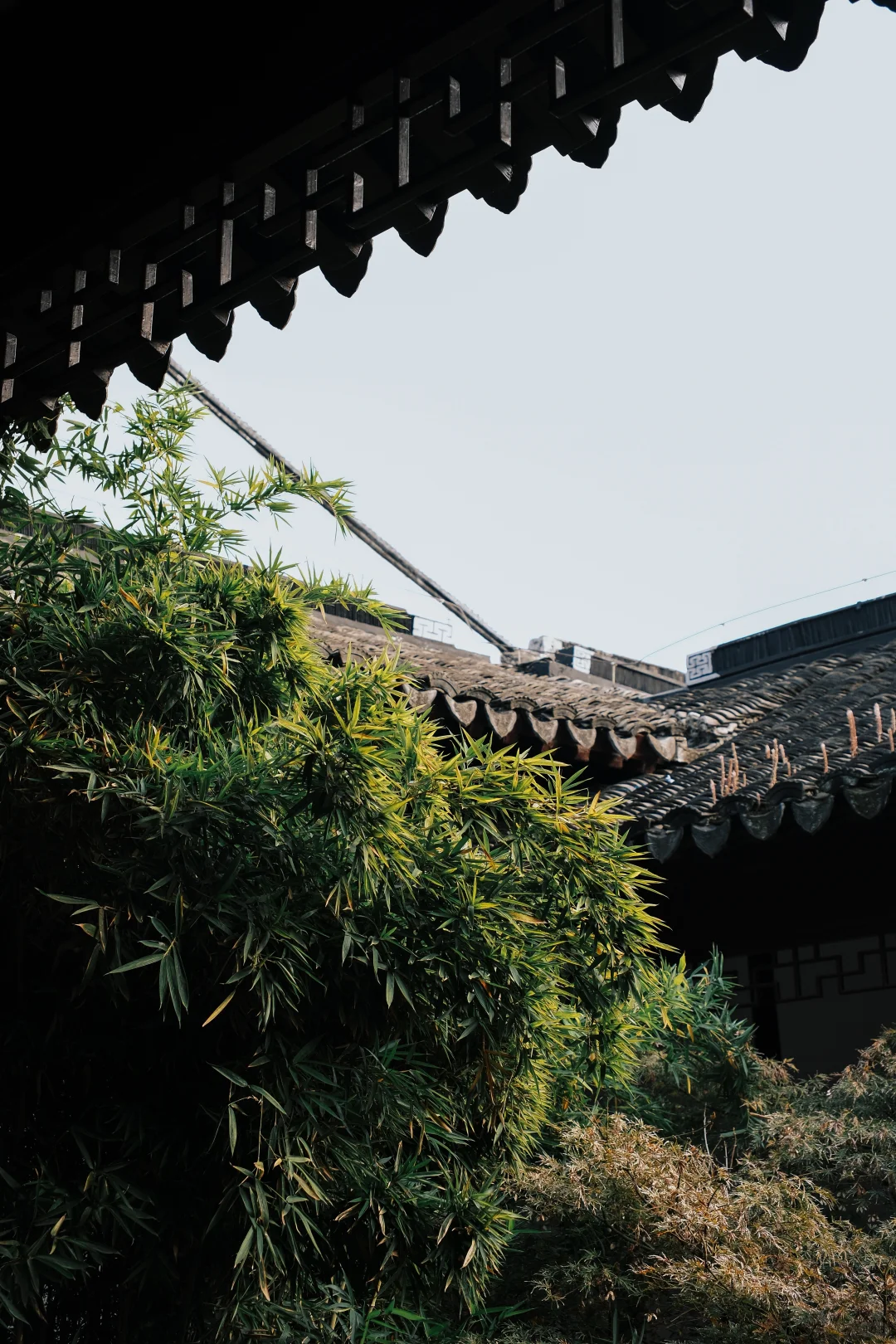 苏州博物馆 | 把江南揉进建筑里