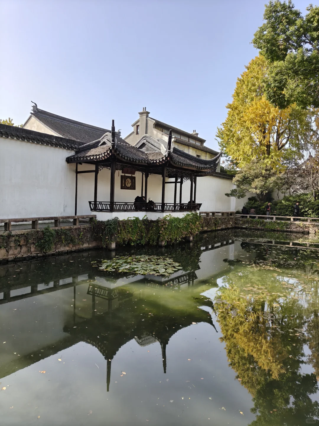 苏州园林｜拙政园