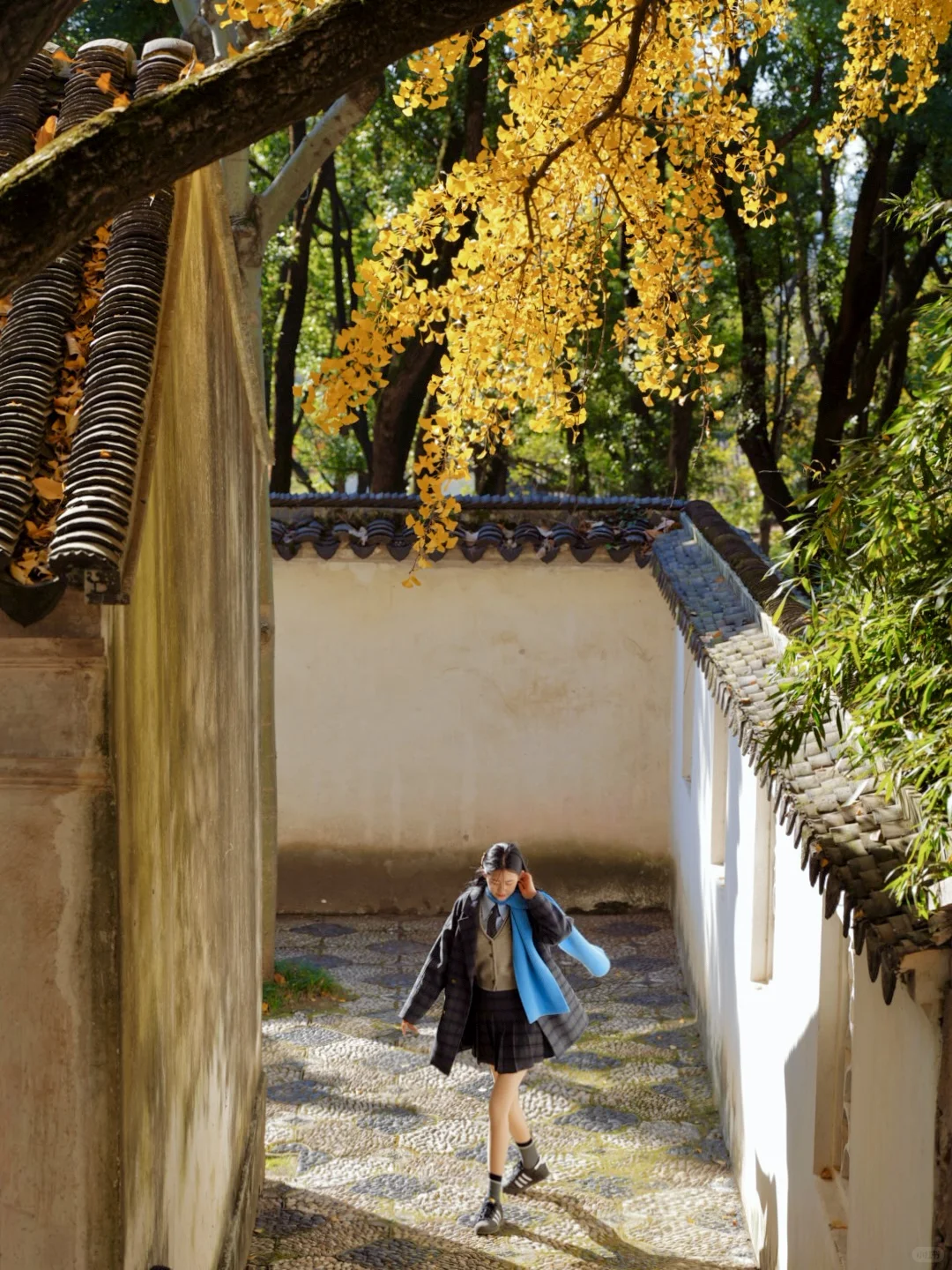 📍苏州赏秋🍁超详细2天1晚citywalk路线攻略