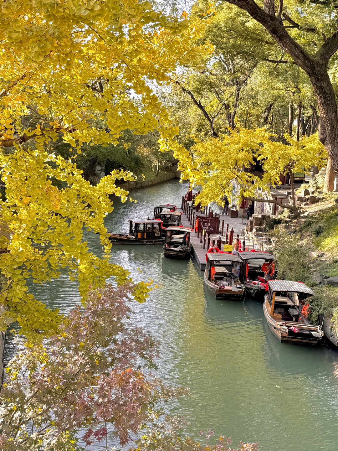 千万别在10-11月去苏州，我怕你来了不想走‼️