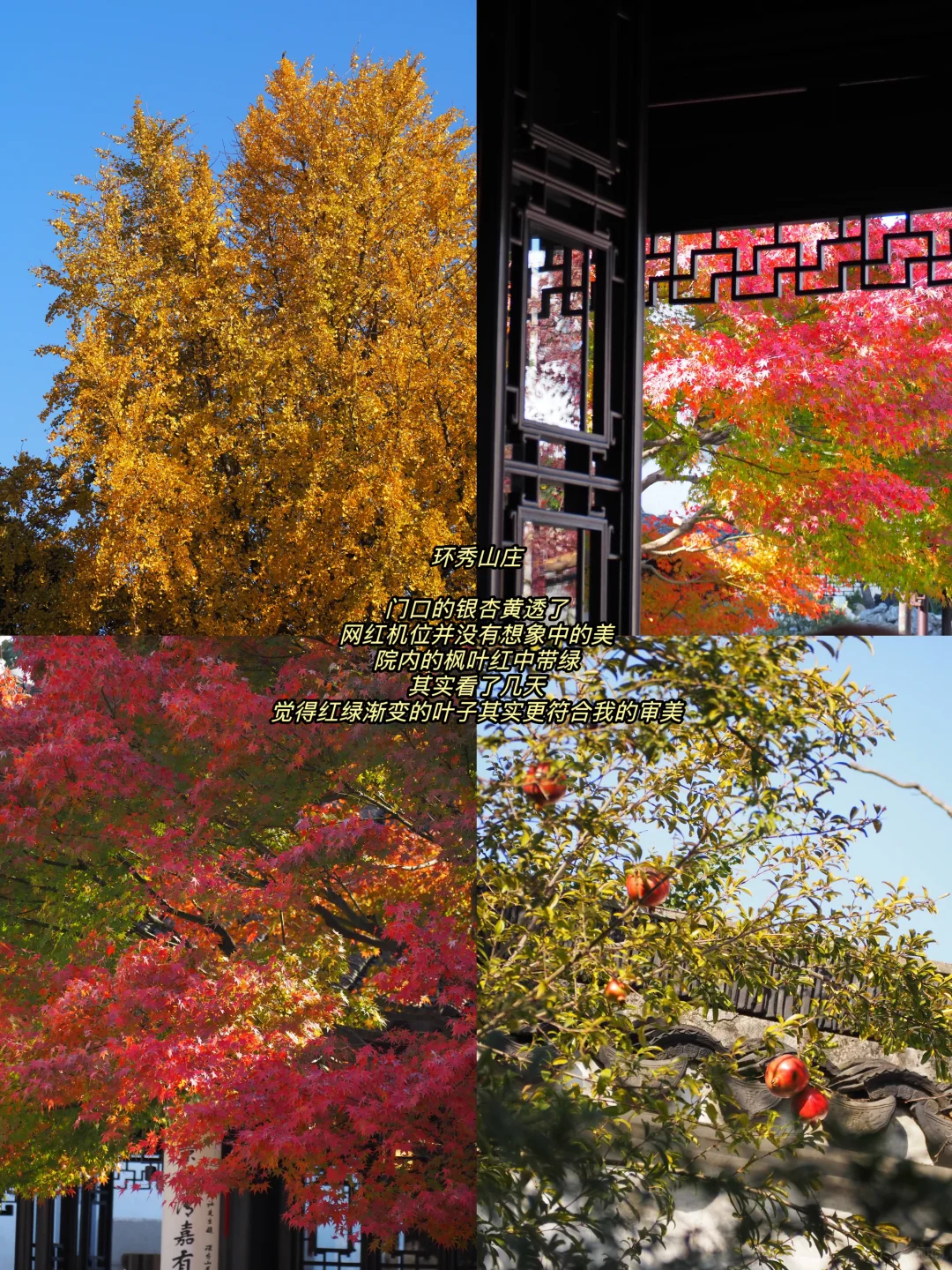 听说你准备要去苏州赏秋，提前帮你探探路