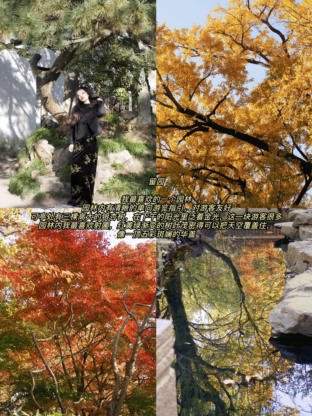 听说你准备要去苏州赏秋，提前帮你探探路