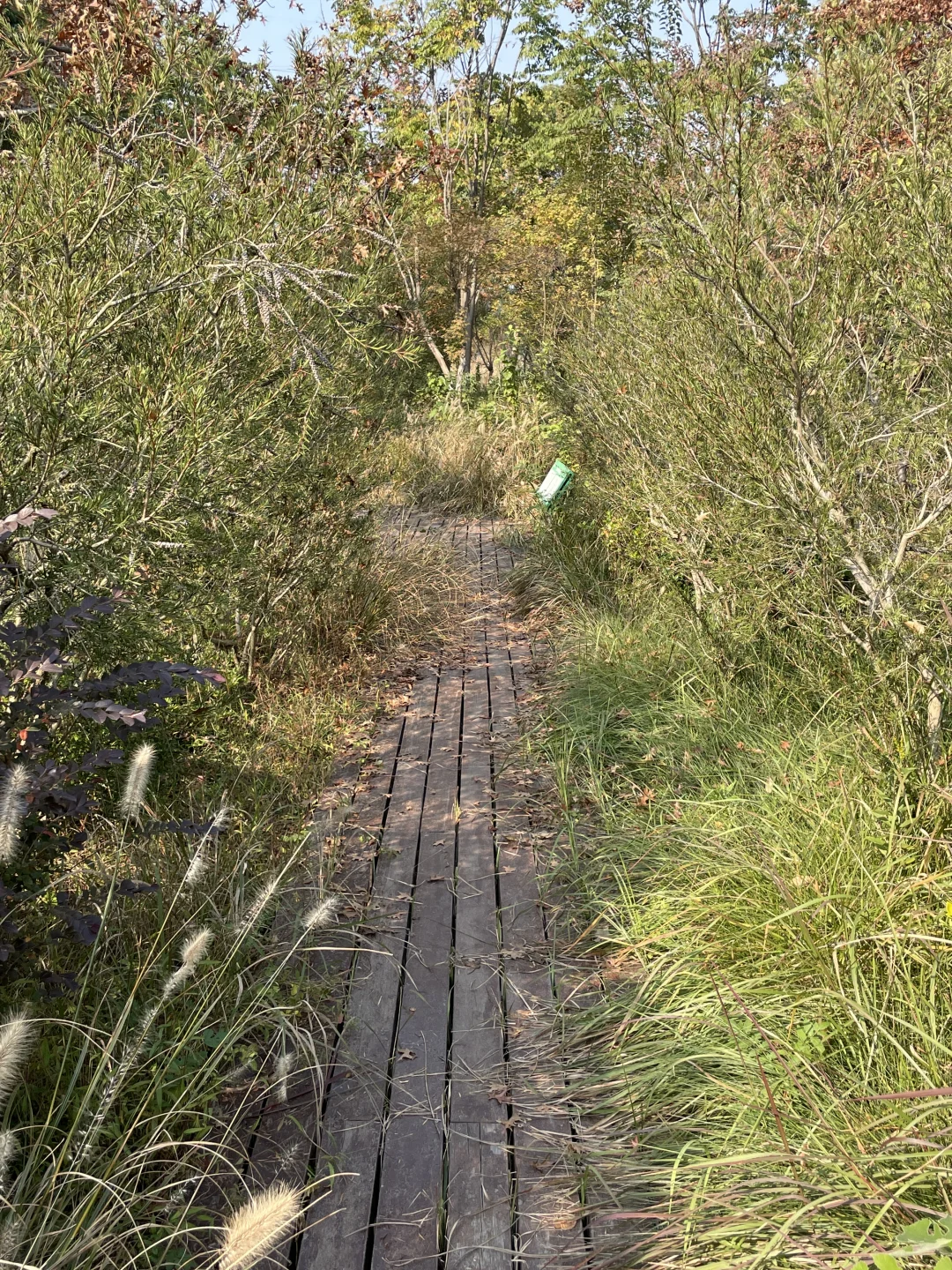 苏州昆山城市生态森林公园