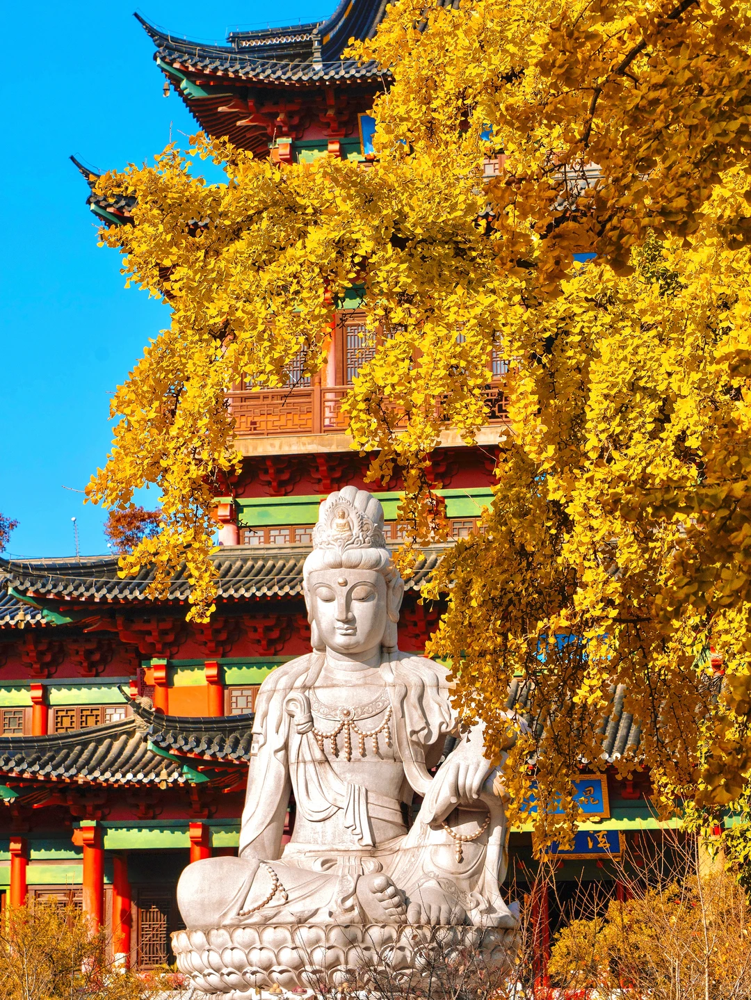 我夸南京秋天一万遍🍂抵不上你亲眼来看一遍