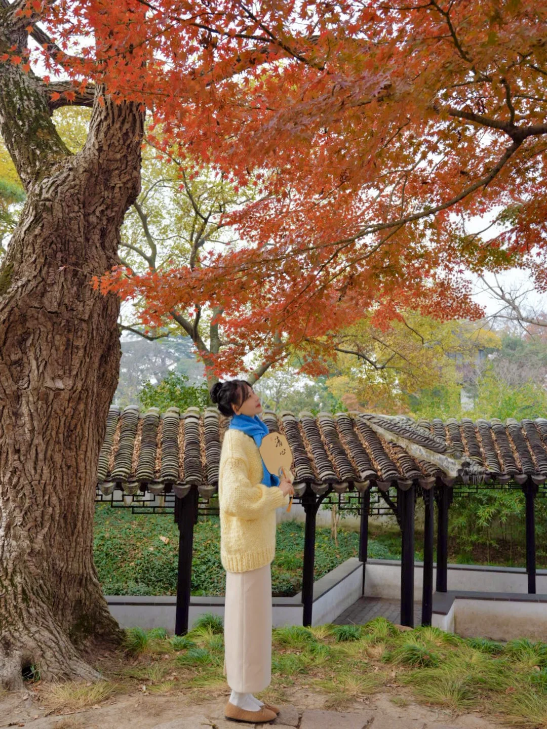 📍苏州赏秋🍁超详细2天1晚citywalk路线攻略