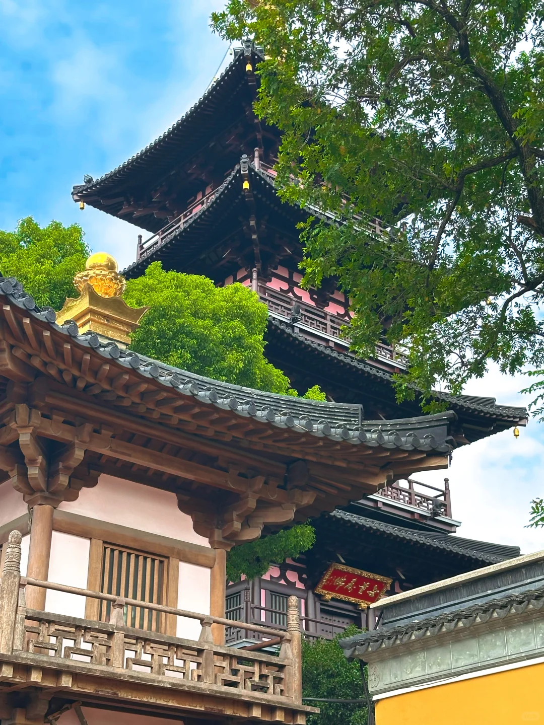 在苏州的诗词里，寻一场烟雨行舟🍃