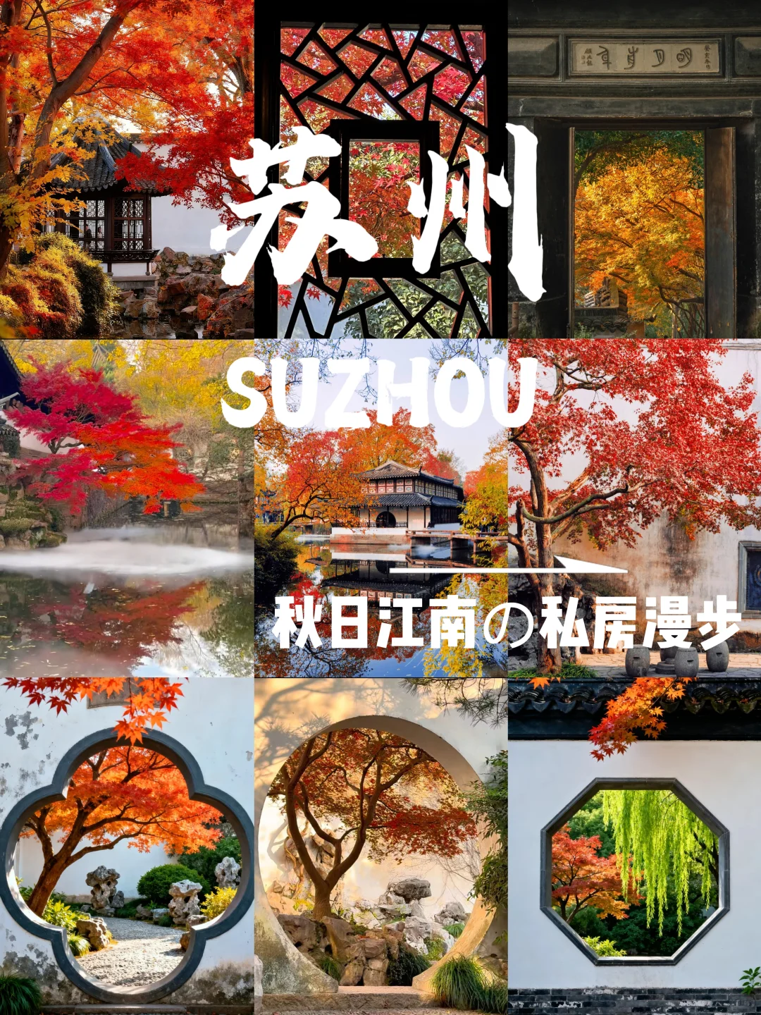 🍂苏州秋天天花板！8个必打卡地美到窒息