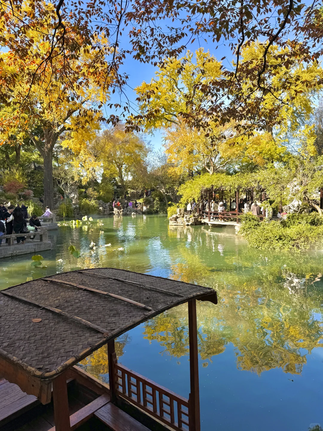 千万别在10-11月去苏州，我怕你来了不想走‼️