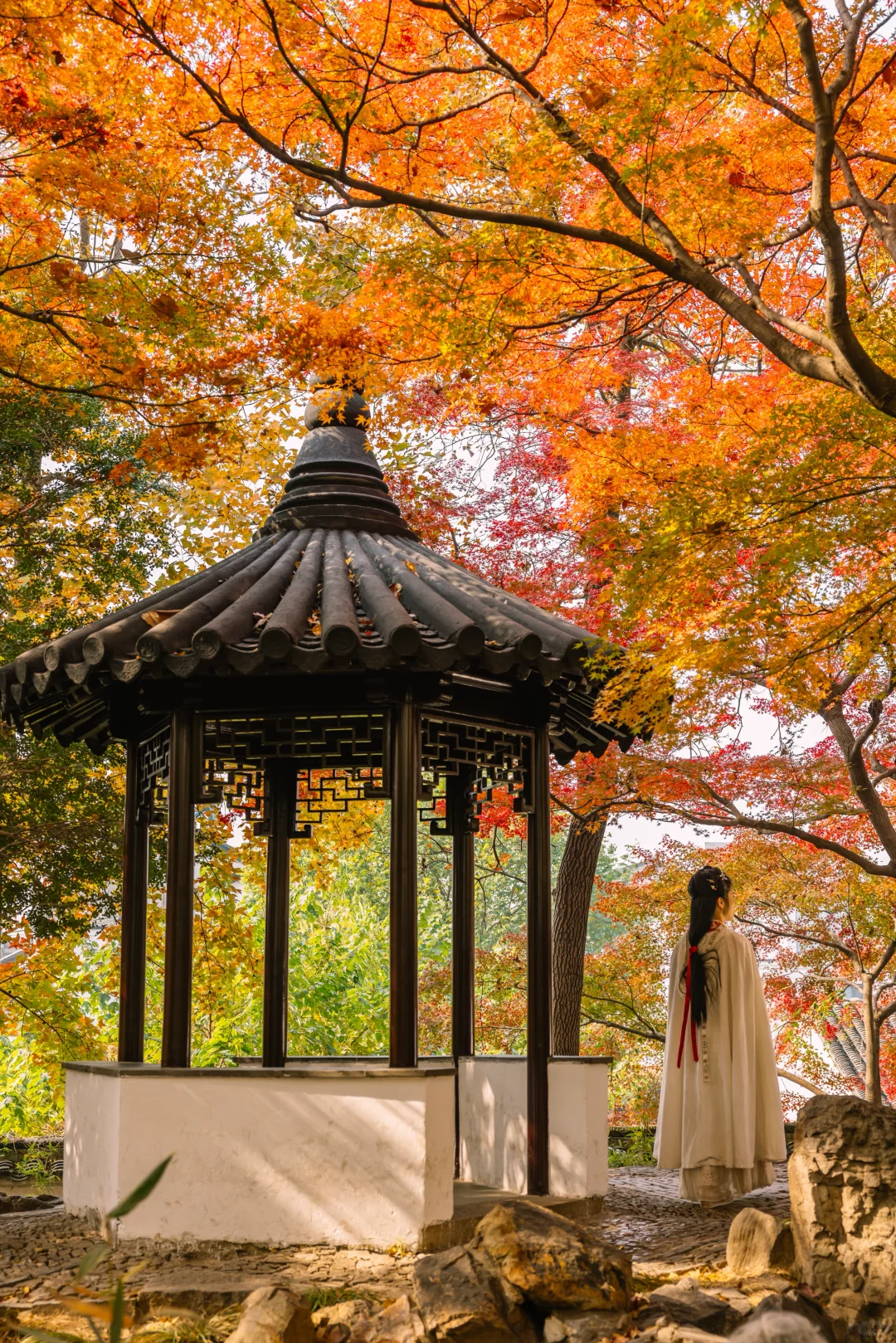 接下来的苏州，堪称秋日旅行天花板🍁