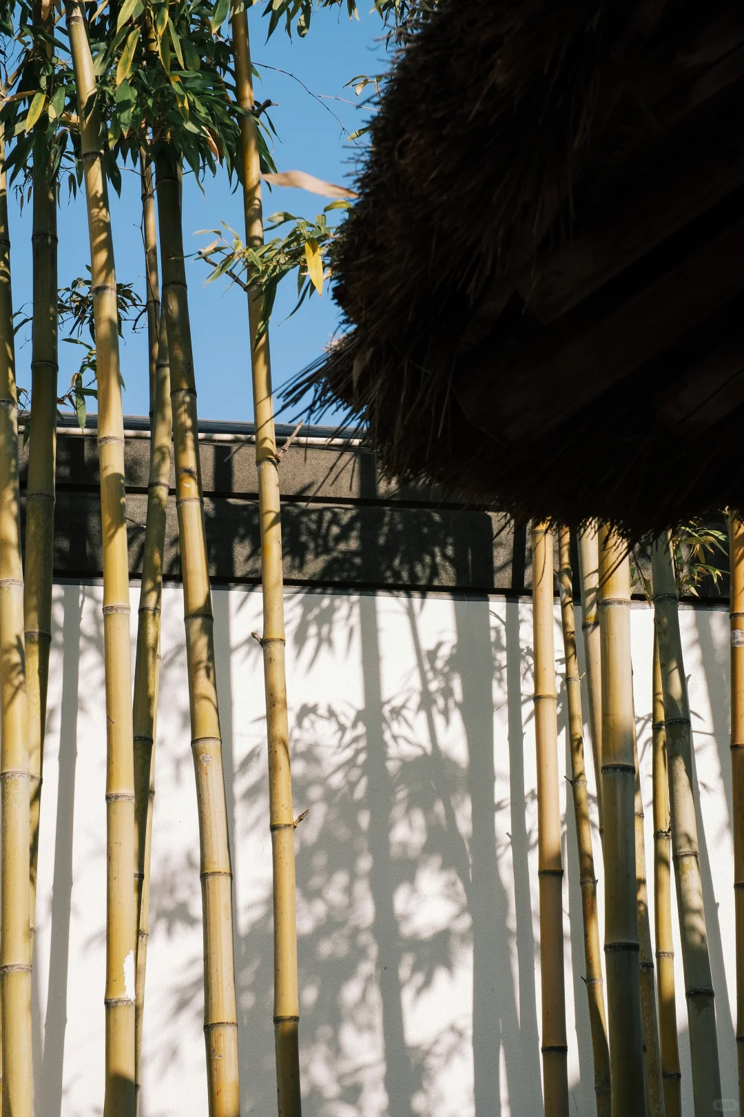 苏州博物馆 | 把江南揉进建筑里