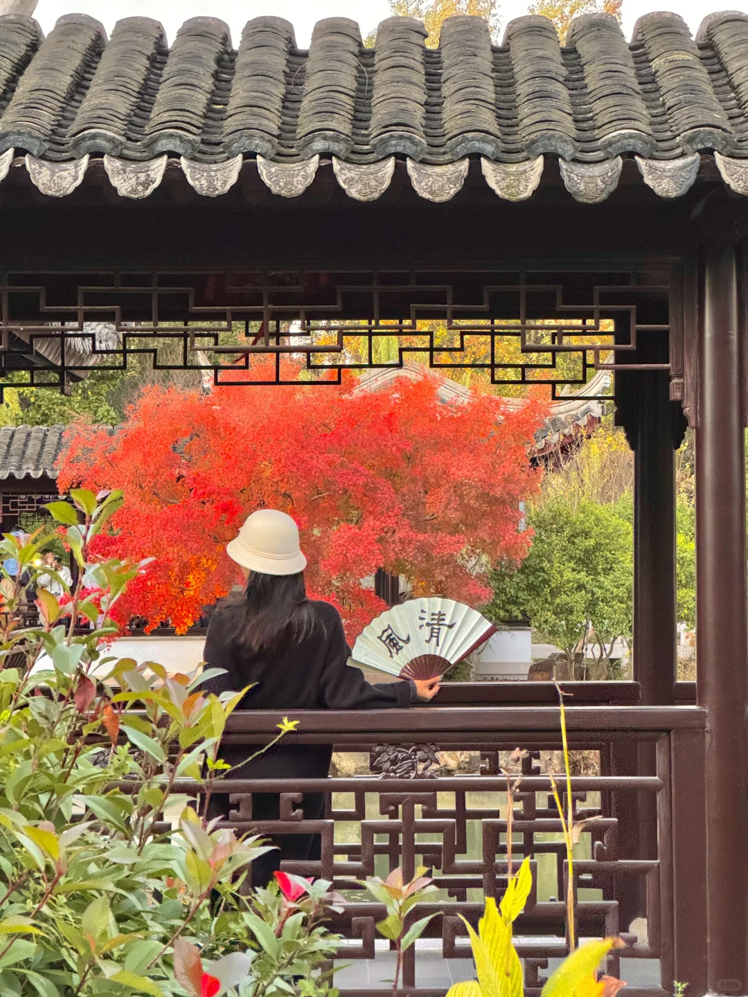 千万别在10-11月去苏州，我怕你来了不想走‼️