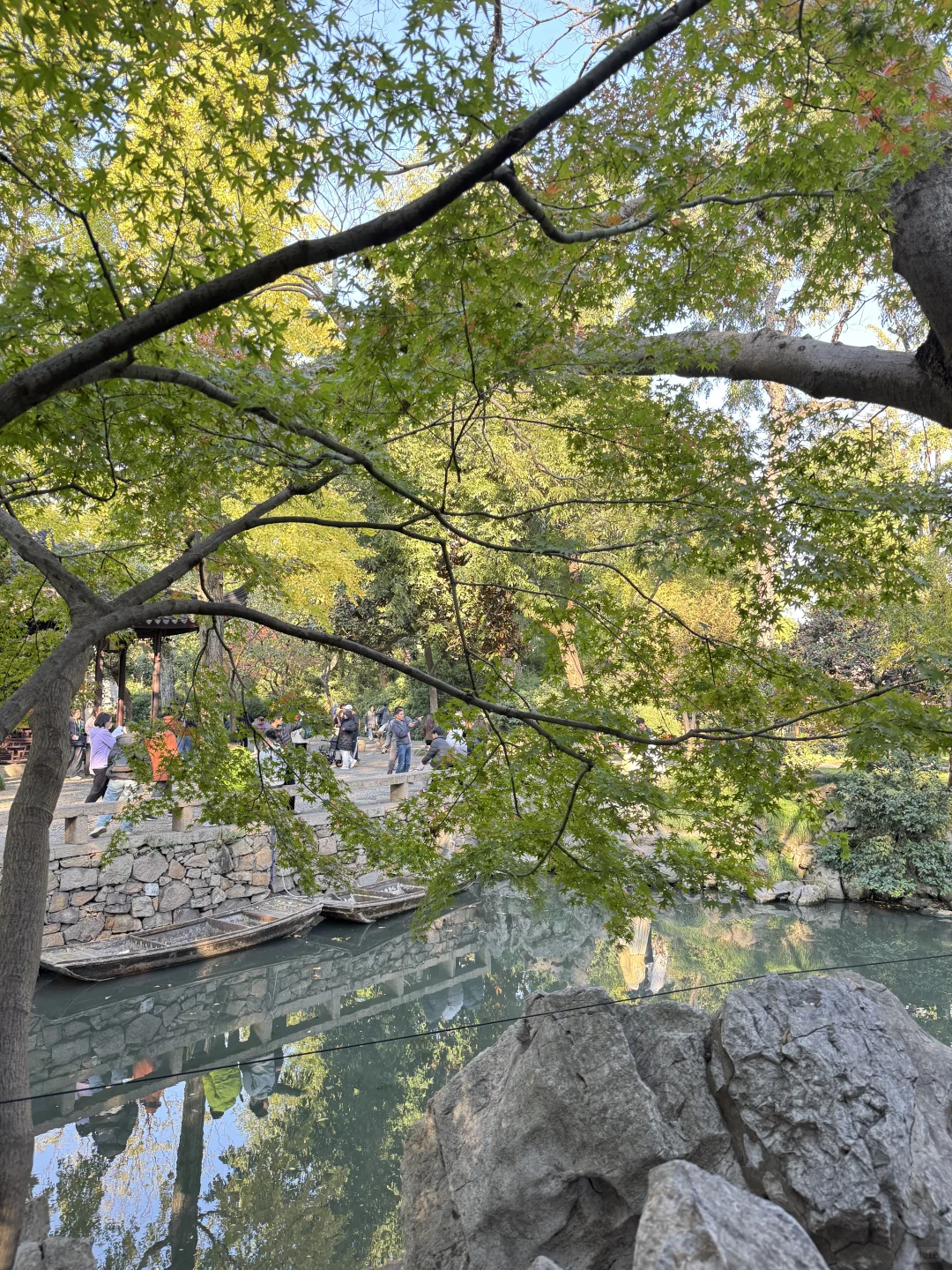 今日11.19苏州园林实况-拙政园