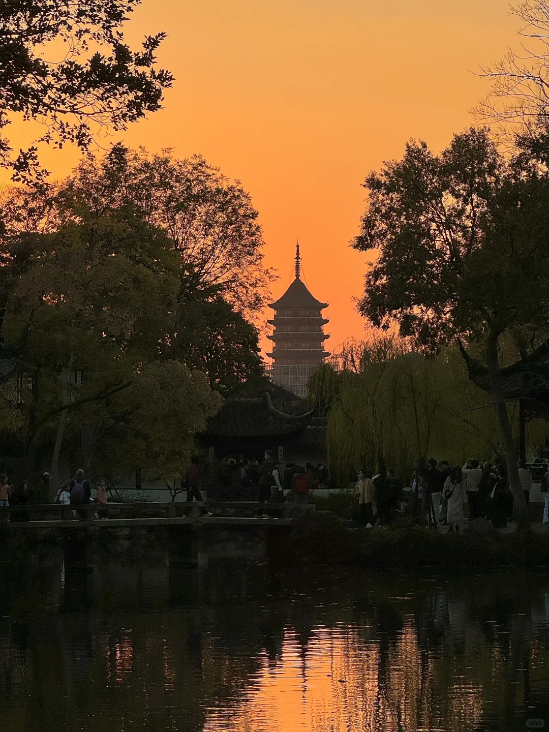 11.13实况live！！！秋天的拙政园！！美到封神…