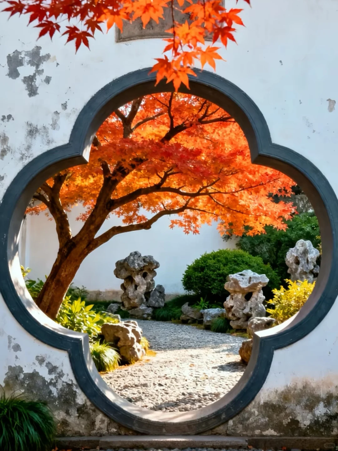 🍂苏州秋天天花板！8个必打卡地美到窒息