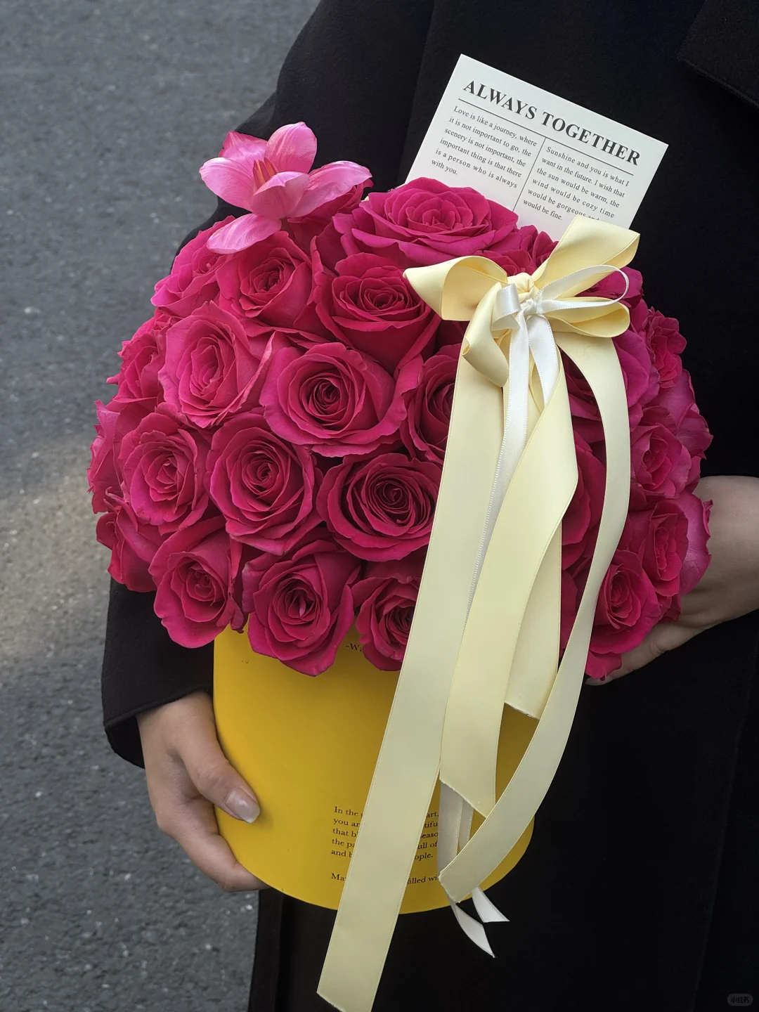 焊死浪漫💕弗洛伊德抱抱桶yyds .苏州花店