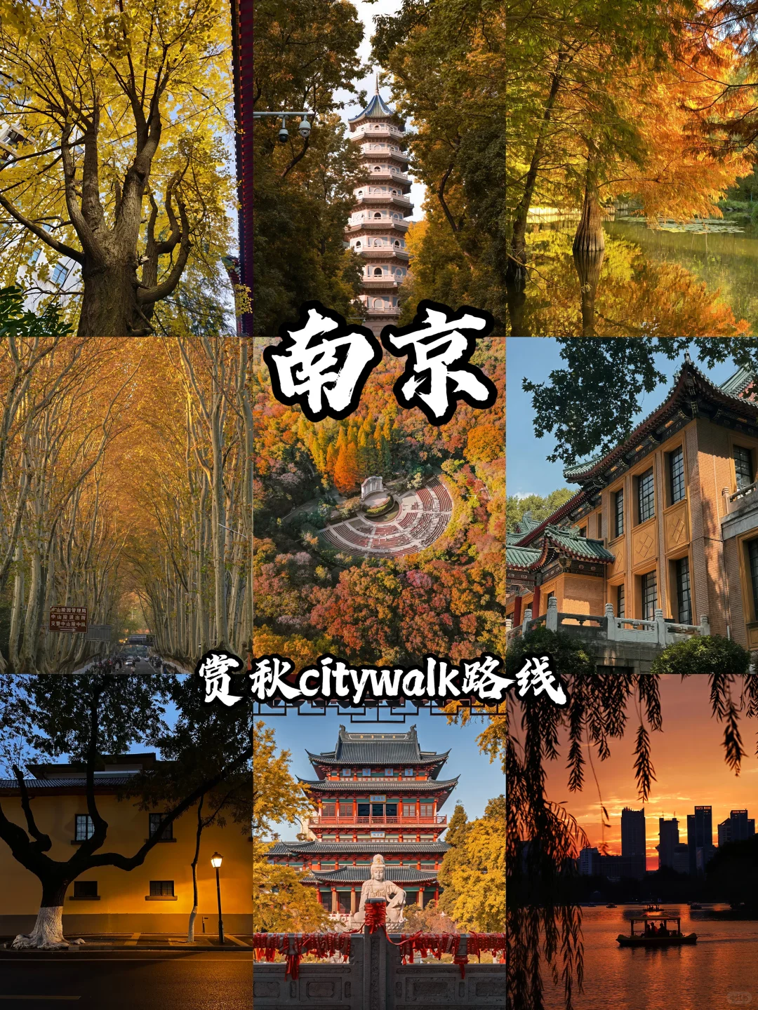 如果错过南京的秋天🍁该有多遗憾呢！