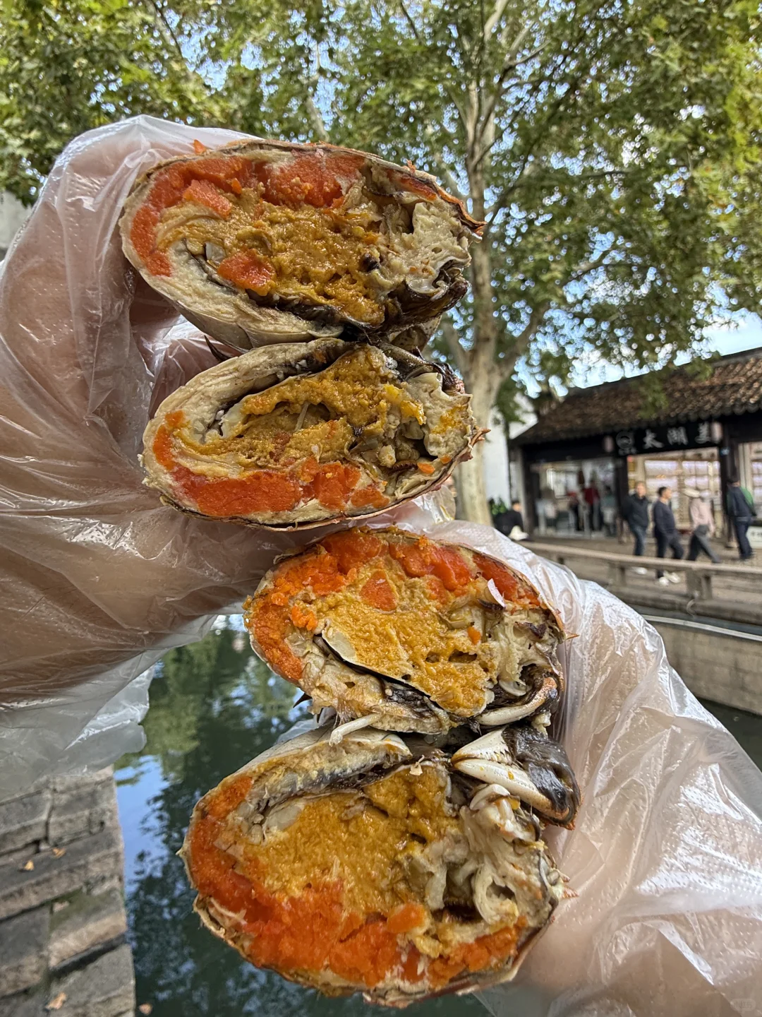 11.13苏州平江路实况！！！真的太美了！！！