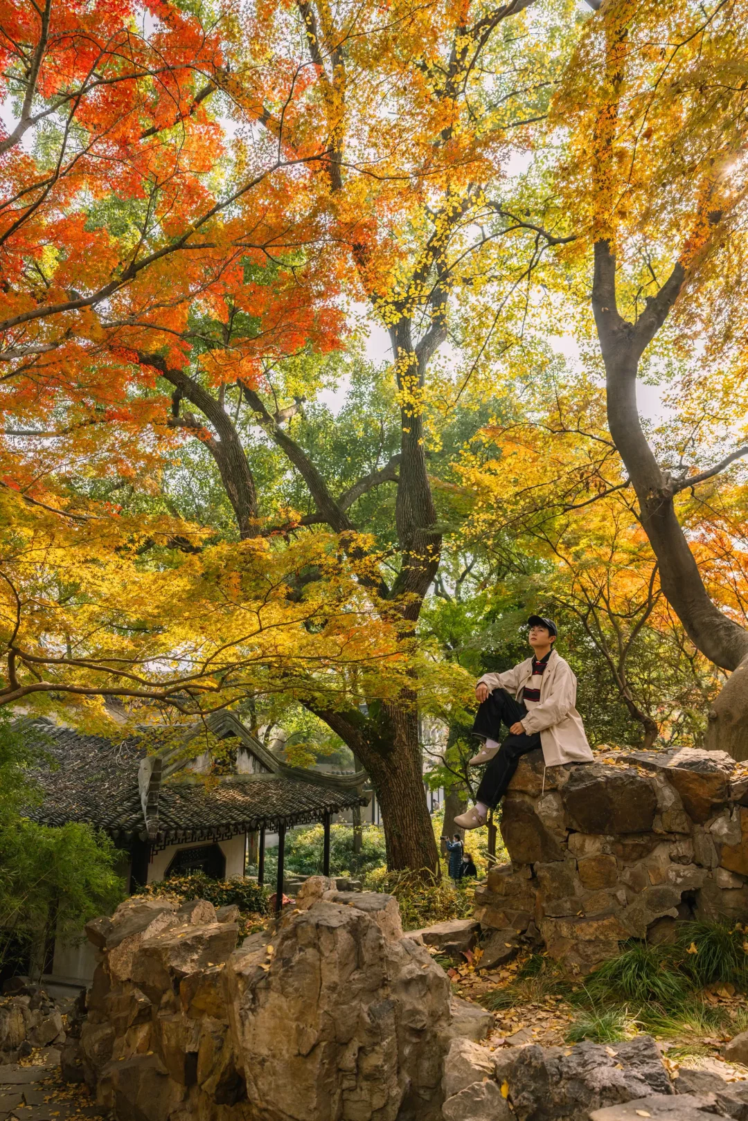 接下来的苏州，堪称秋日旅行天花板🍁