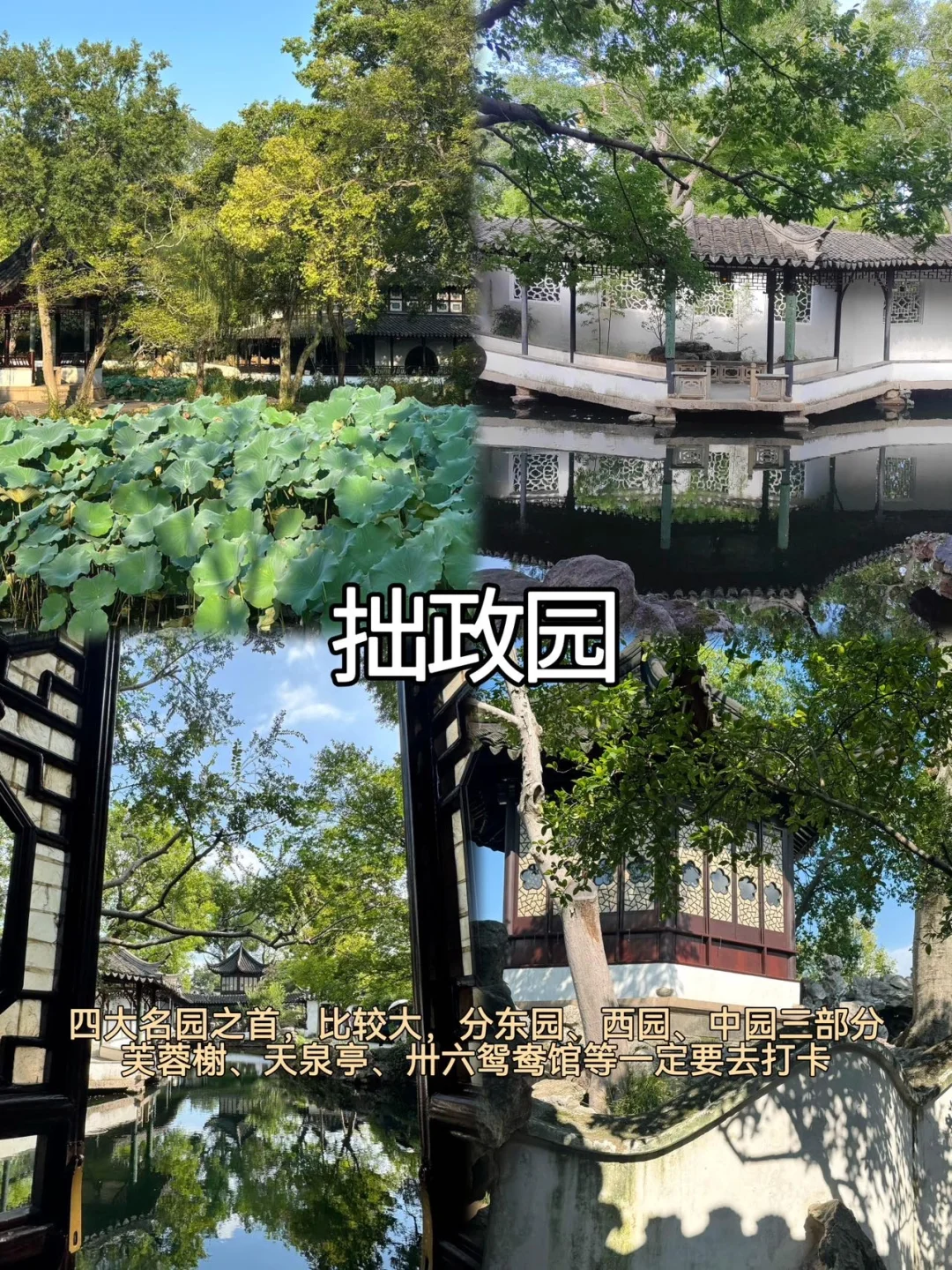 苏州📍两天一夜｜保姆级精华版逛吃攻略📝