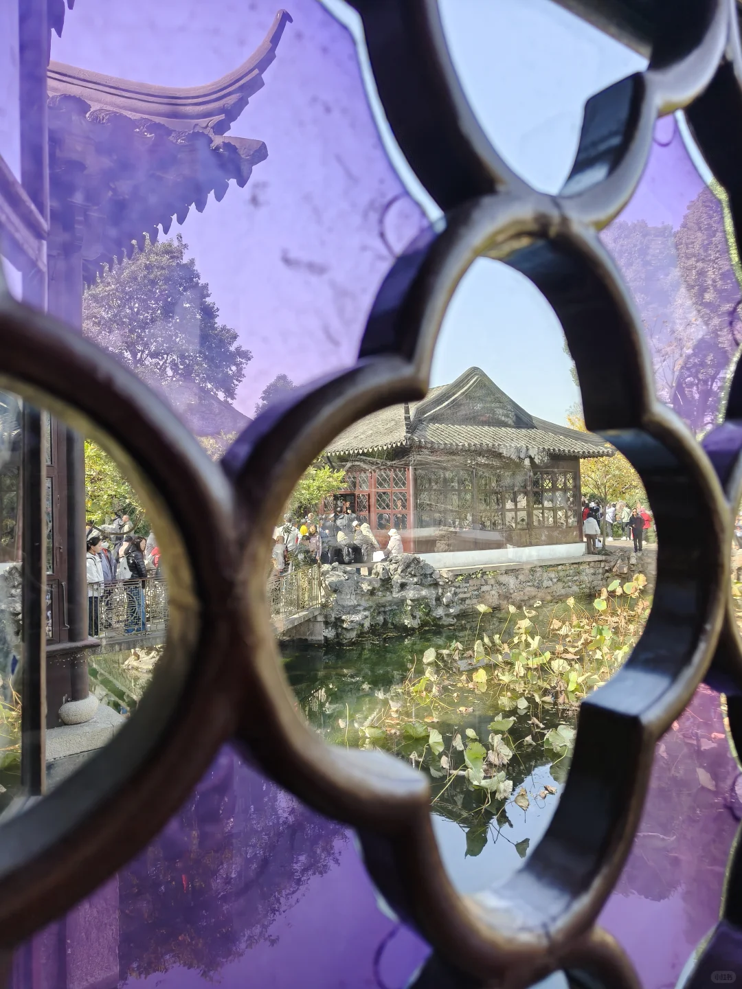 苏州园林｜拙政园
