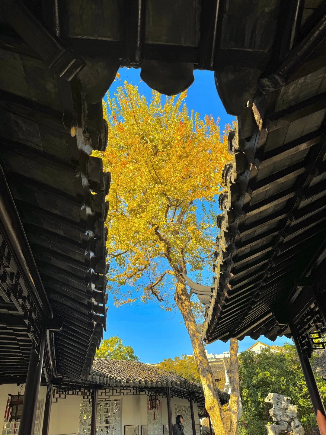 千万别在10-11月去苏州，我怕你来了不想走‼️