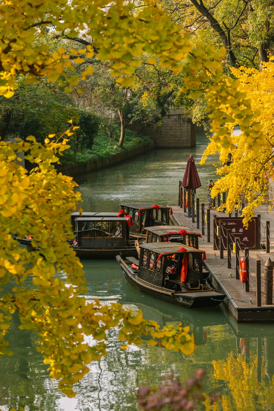 接下来的苏州，堪称秋日旅行天花板🍁