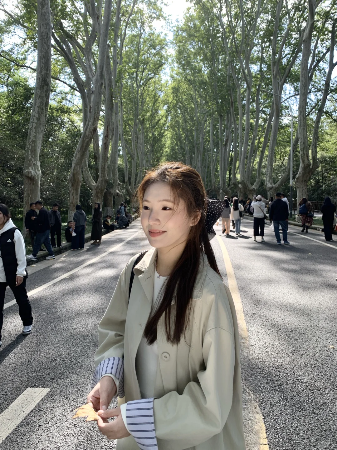 ：秋天的梧桐大道🍁