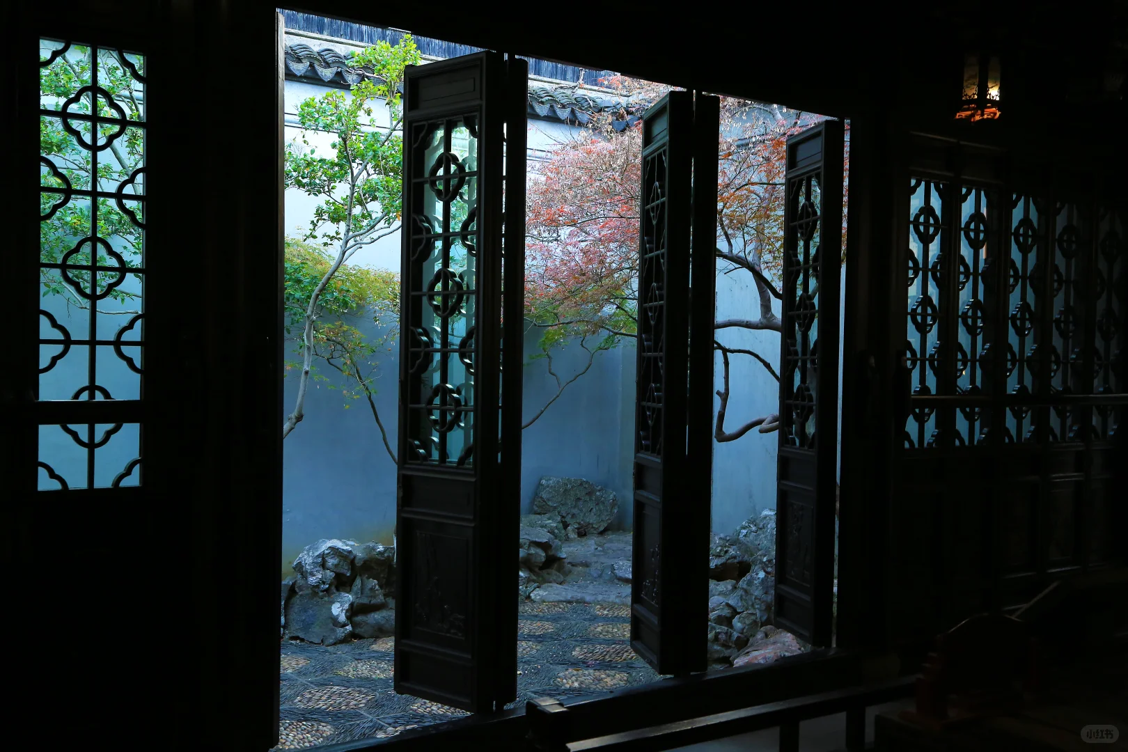 2025苏州木渎古镇银杏红枫秋色正浓