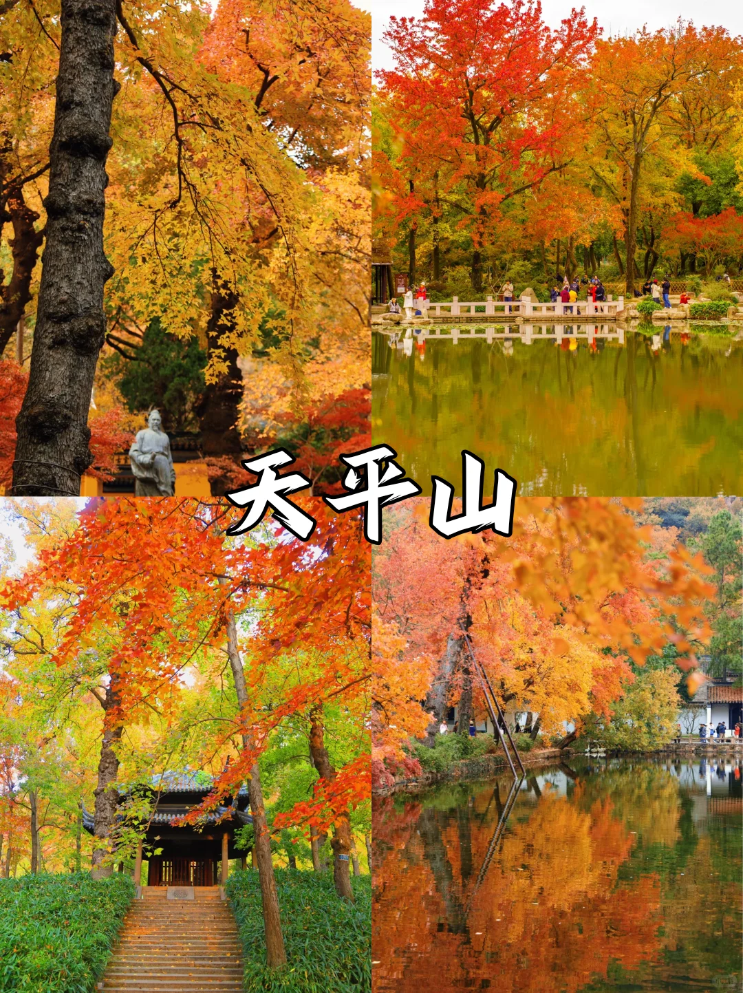 苏州限定❗苏州赏秋必打卡地来啦🔔快收藏✅