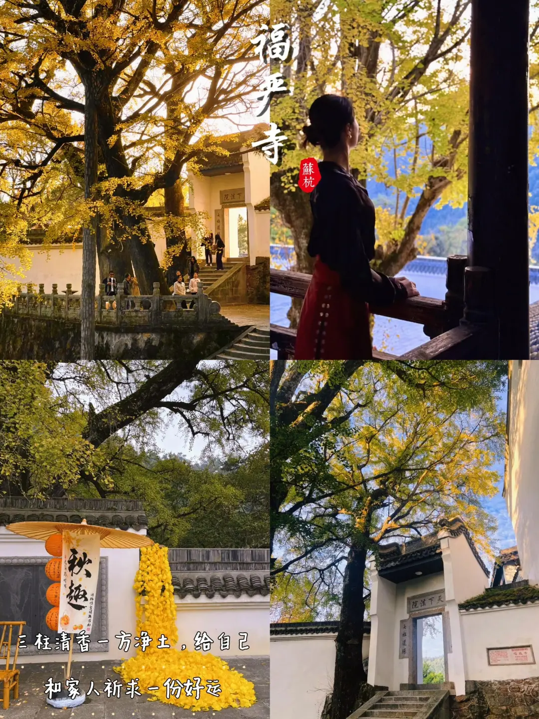 苏杭四日游🔥吃➕住➕行全包人均600下江南🍀