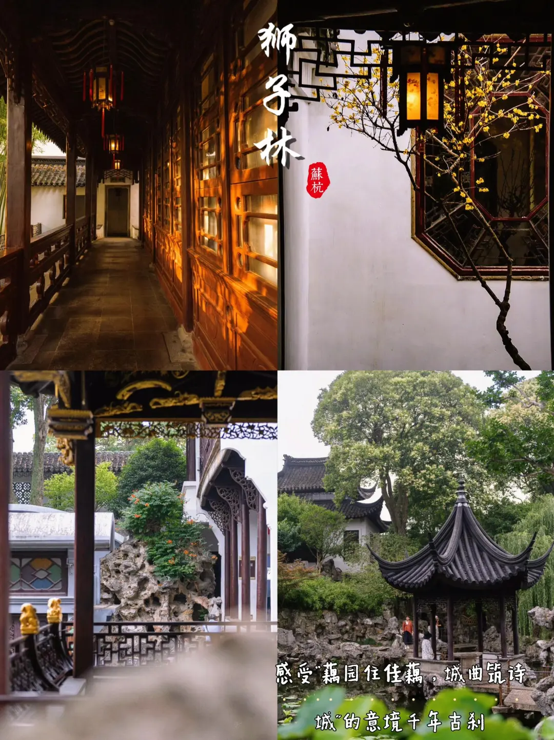 苏杭四日游🔥吃➕住➕行全包人均600下江南🍀