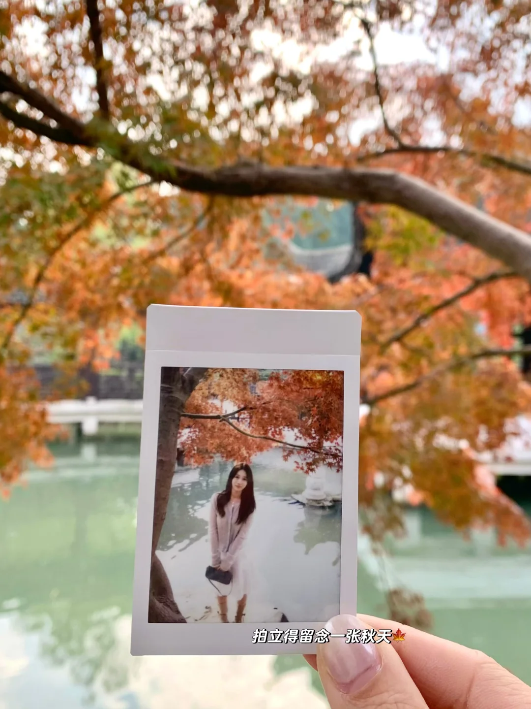 🍂11.23苏州｜虎丘一榭园枫叶红啦🎐附路线