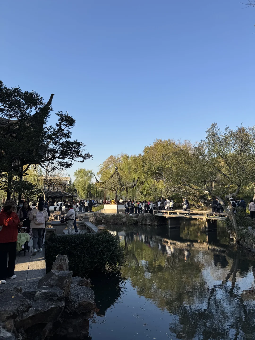 今日11.19苏州园林实况-拙政园