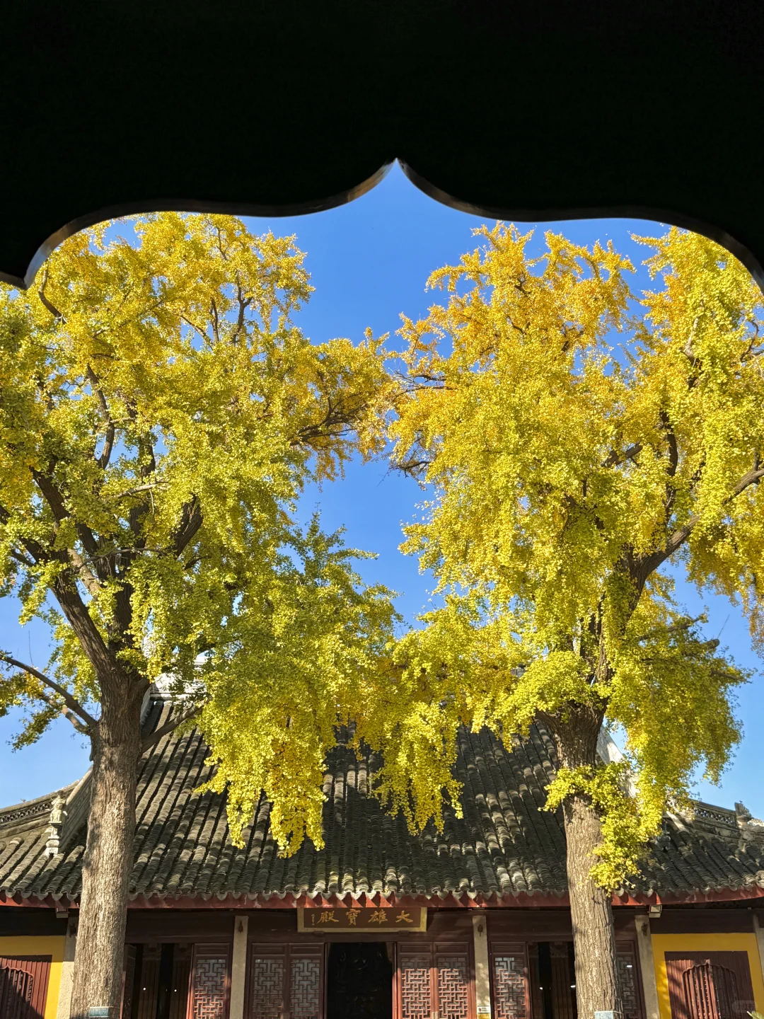 千万别在10-11月去苏州，我怕你来了不想走‼️