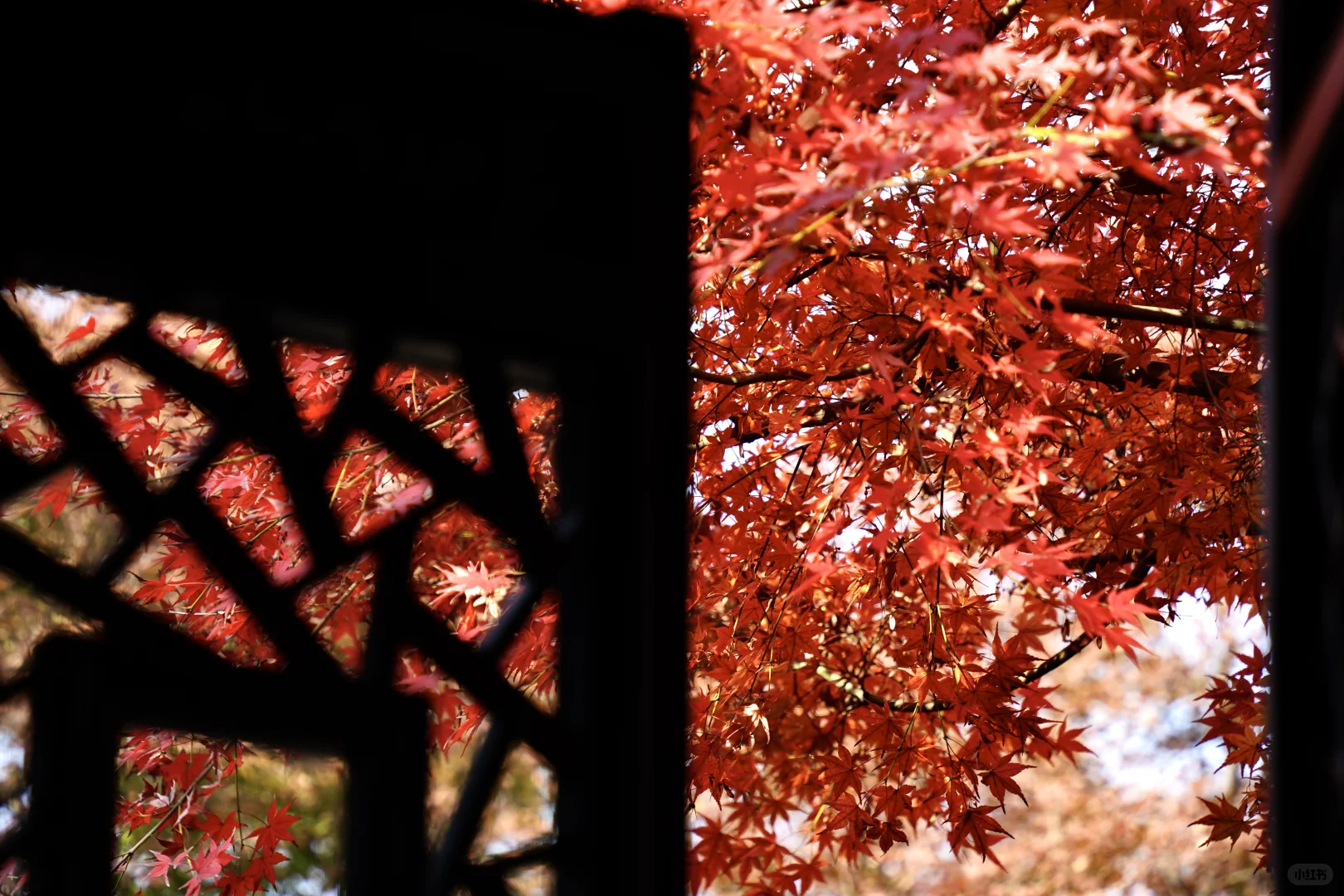 苏州周末两日游C