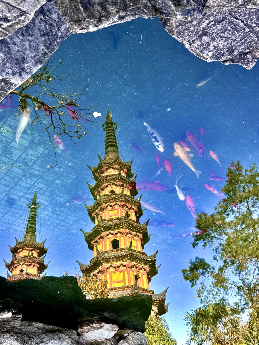 千万别在10-11月去苏州，我怕你来了不想走‼️