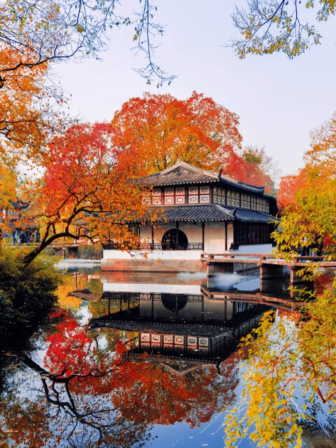 🍂苏州秋天天花板！8个必打卡地美到窒息