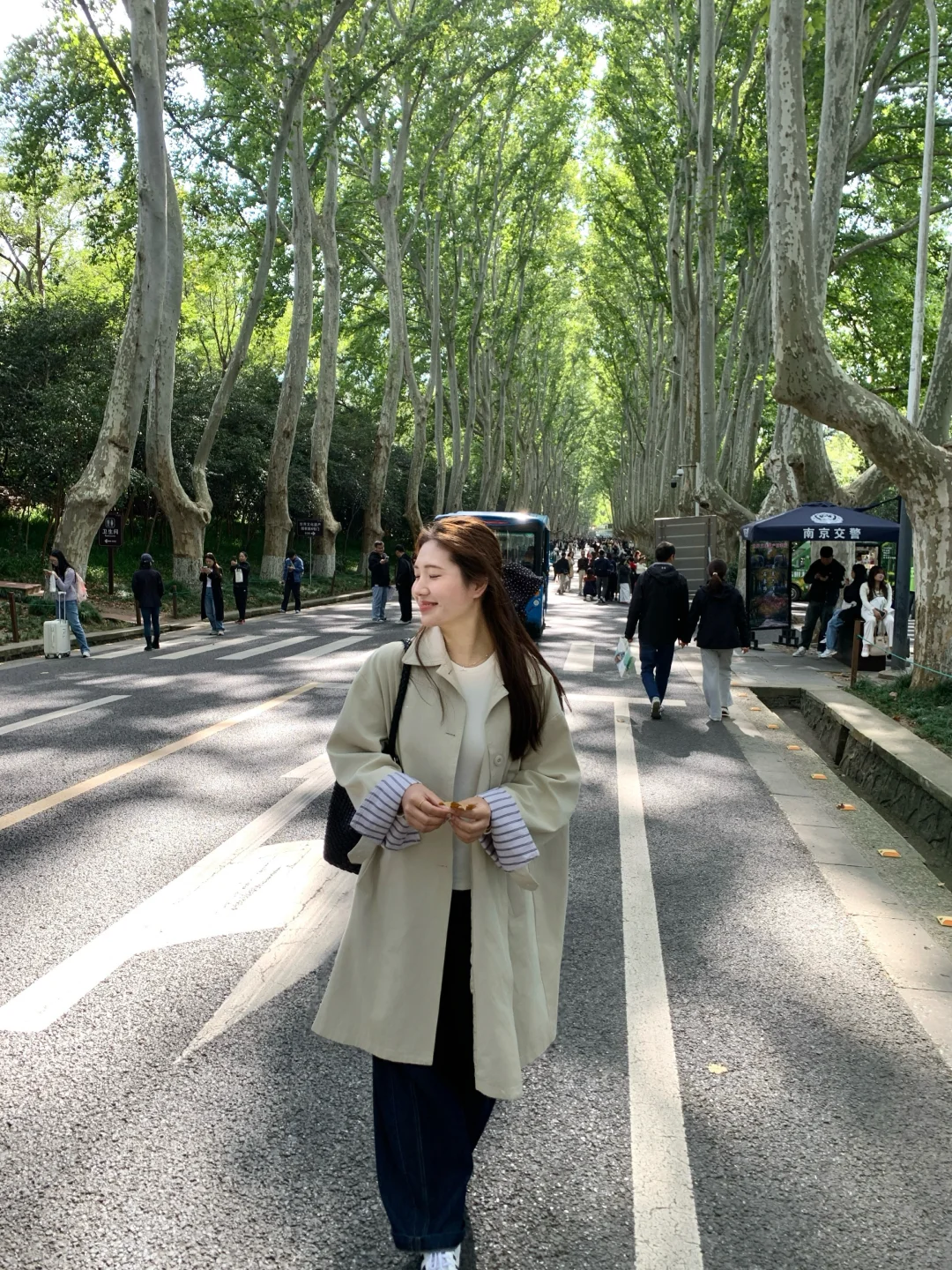 ：秋天的梧桐大道🍁