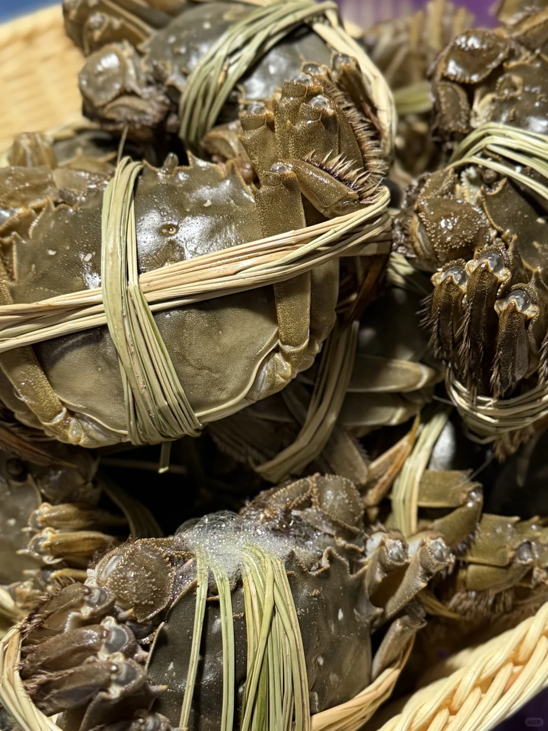 💰100的残蟹在小红书杀疯了，苏州给力！