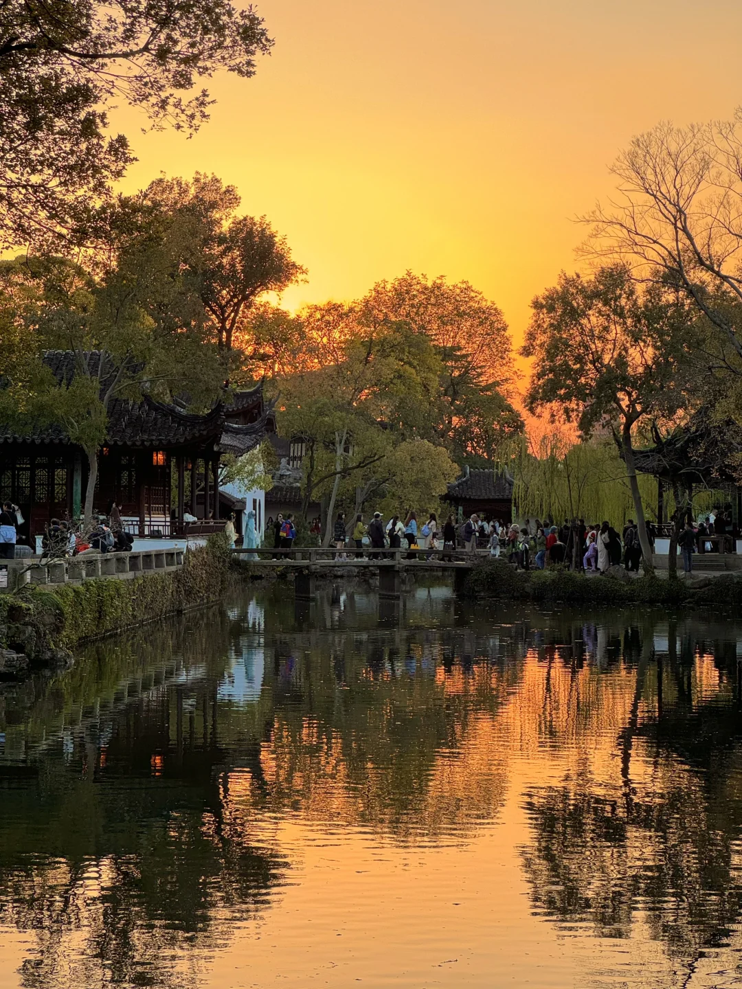 11.13实况live！！！秋天的拙政园！！美到封神…