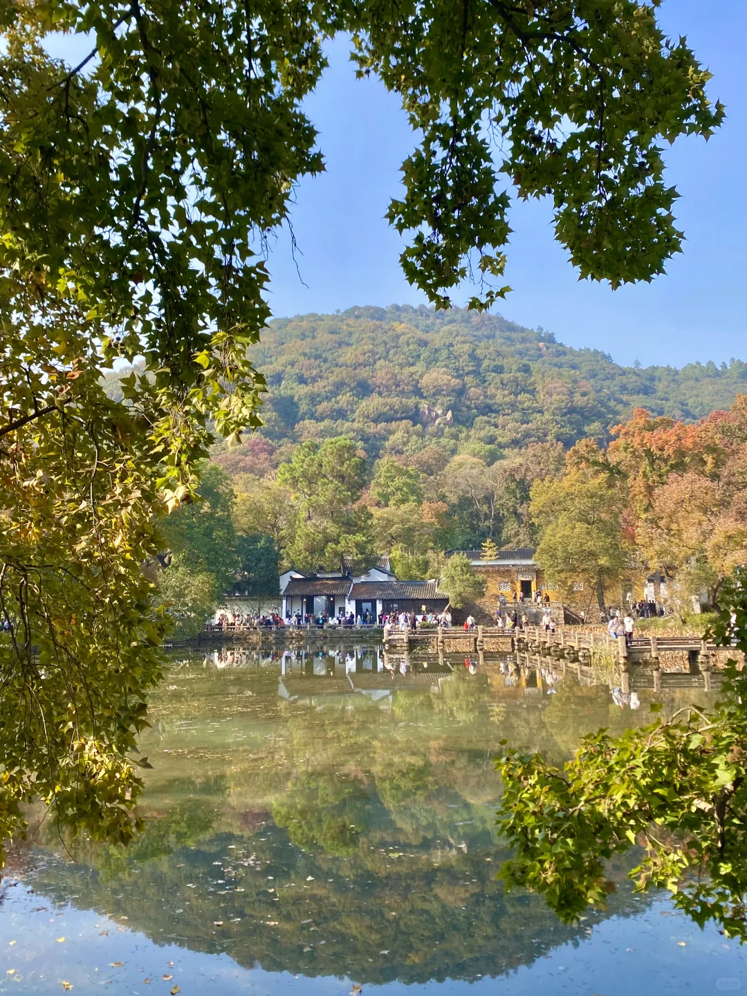 苏州！11月的秋景已经美到next level了！！！