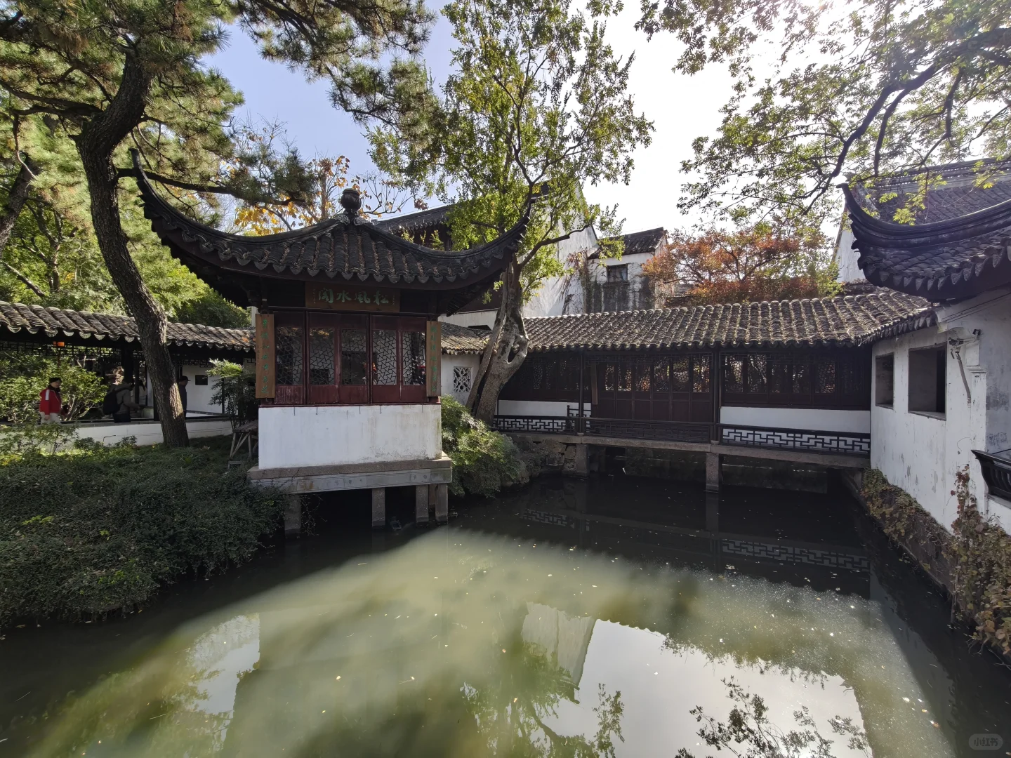 苏州园林｜拙政园