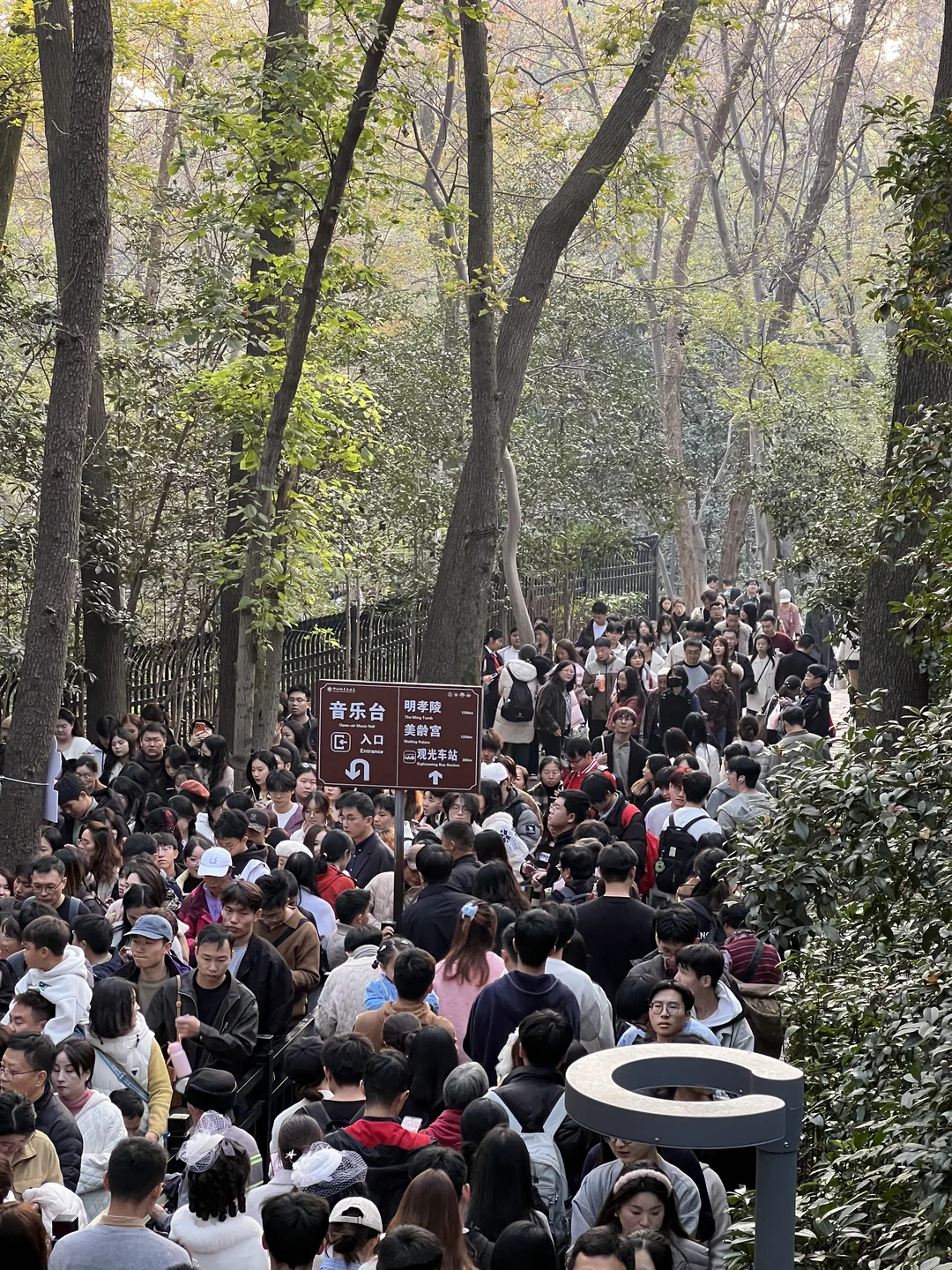 11.22实况，音乐台挤爆了