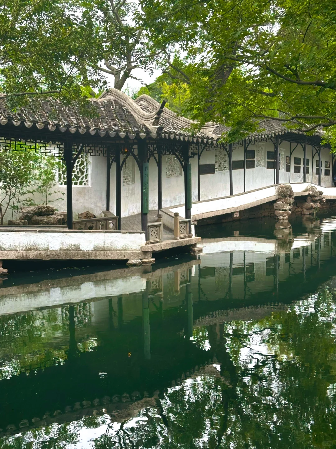 在苏州的诗词里，寻一场烟雨行舟🍃